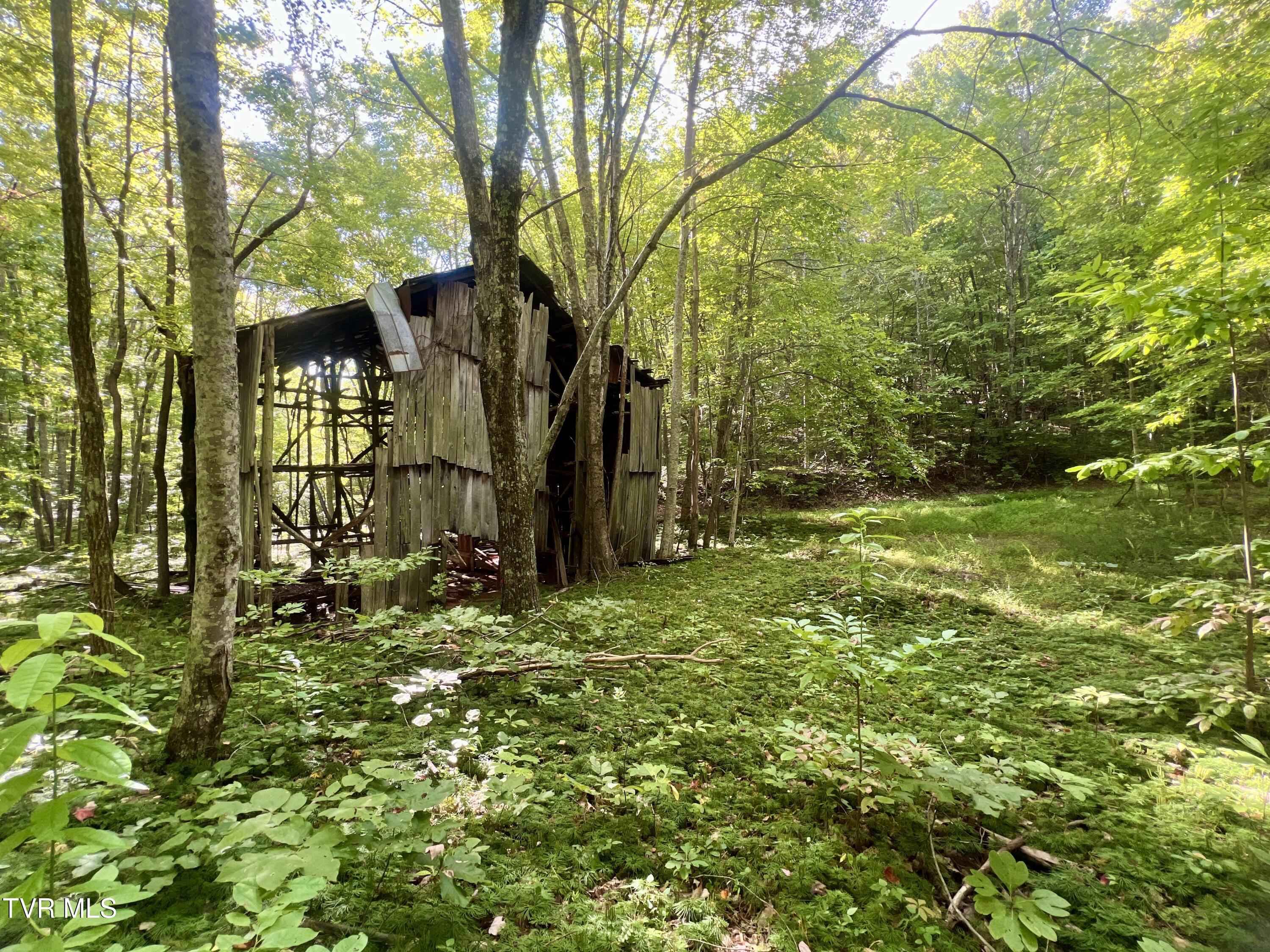 1200 Douglas Drive #1, Sneedville, Tennessee image 11