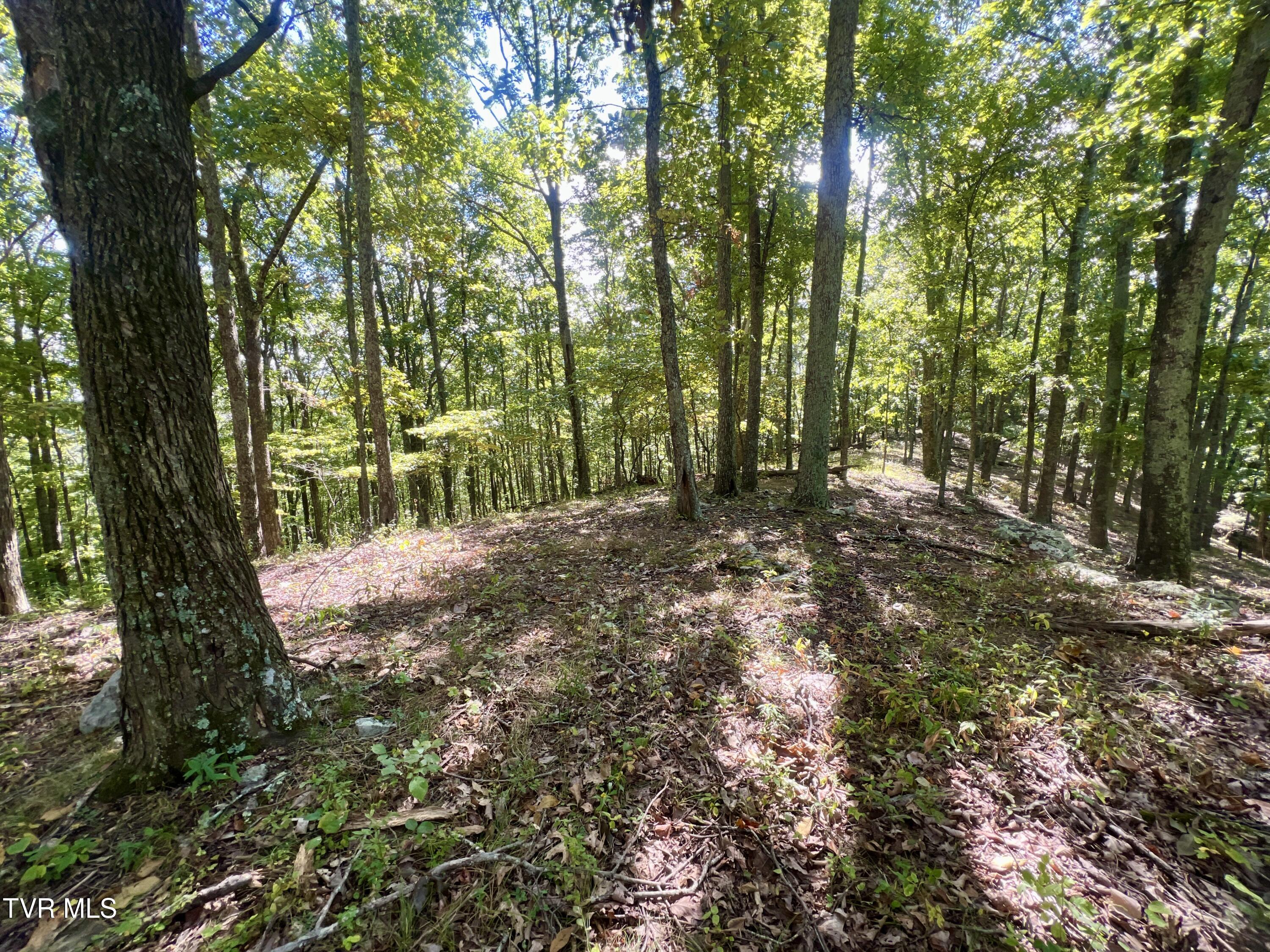 1200 Douglas Drive #1, Sneedville, Tennessee image 32