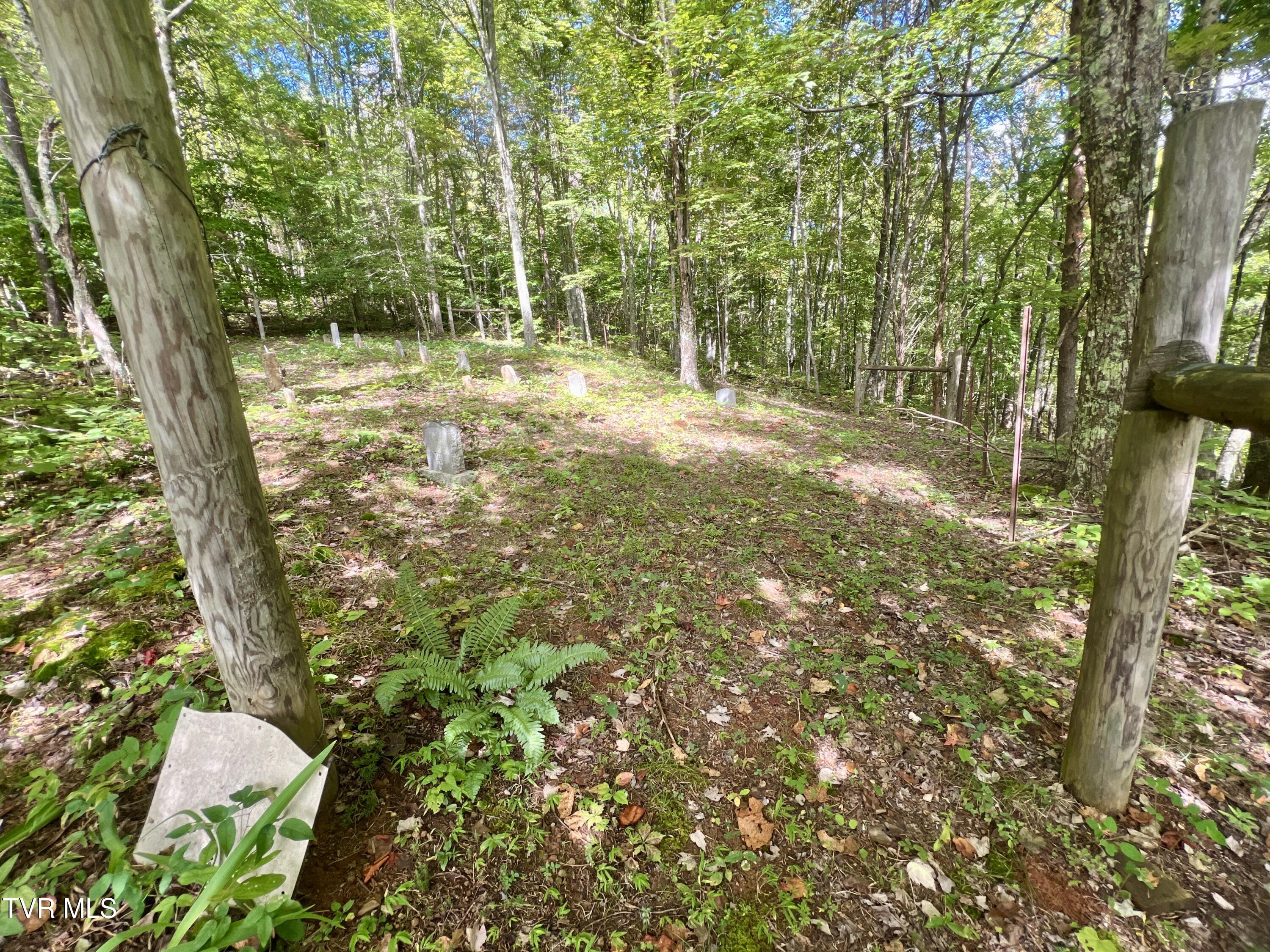 1200 Douglas Drive #1, Sneedville, Tennessee image 27