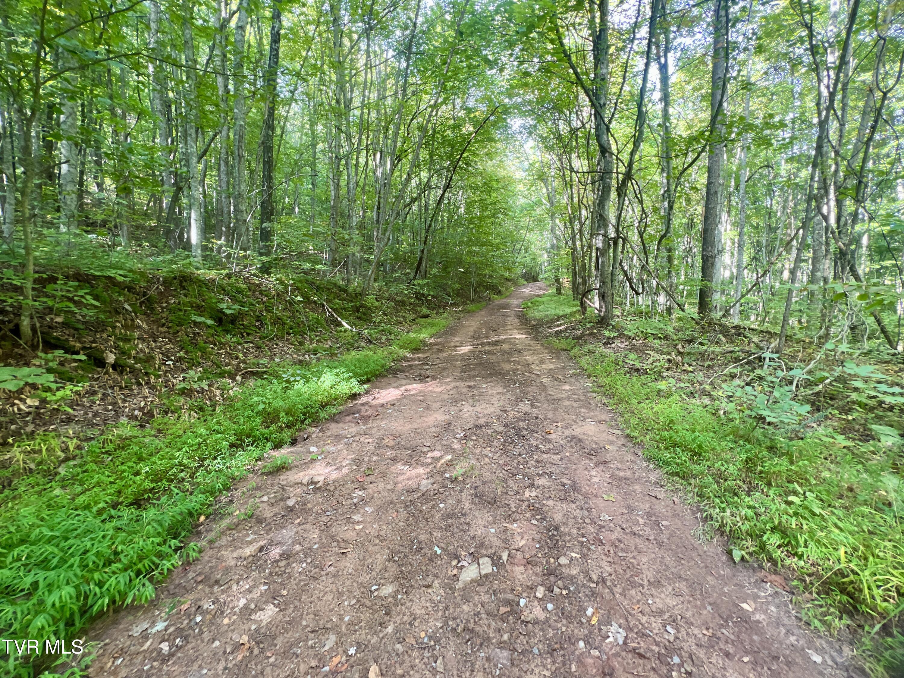1200 Douglas Drive #1, Sneedville, Tennessee image 8