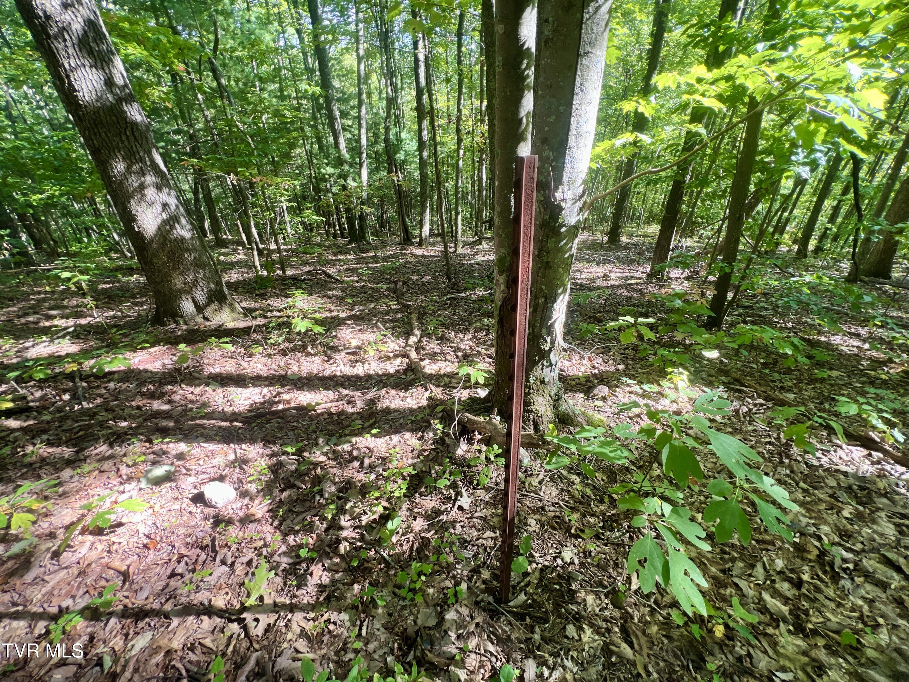 1200 Douglas Drive #1, Sneedville, Tennessee image 34
