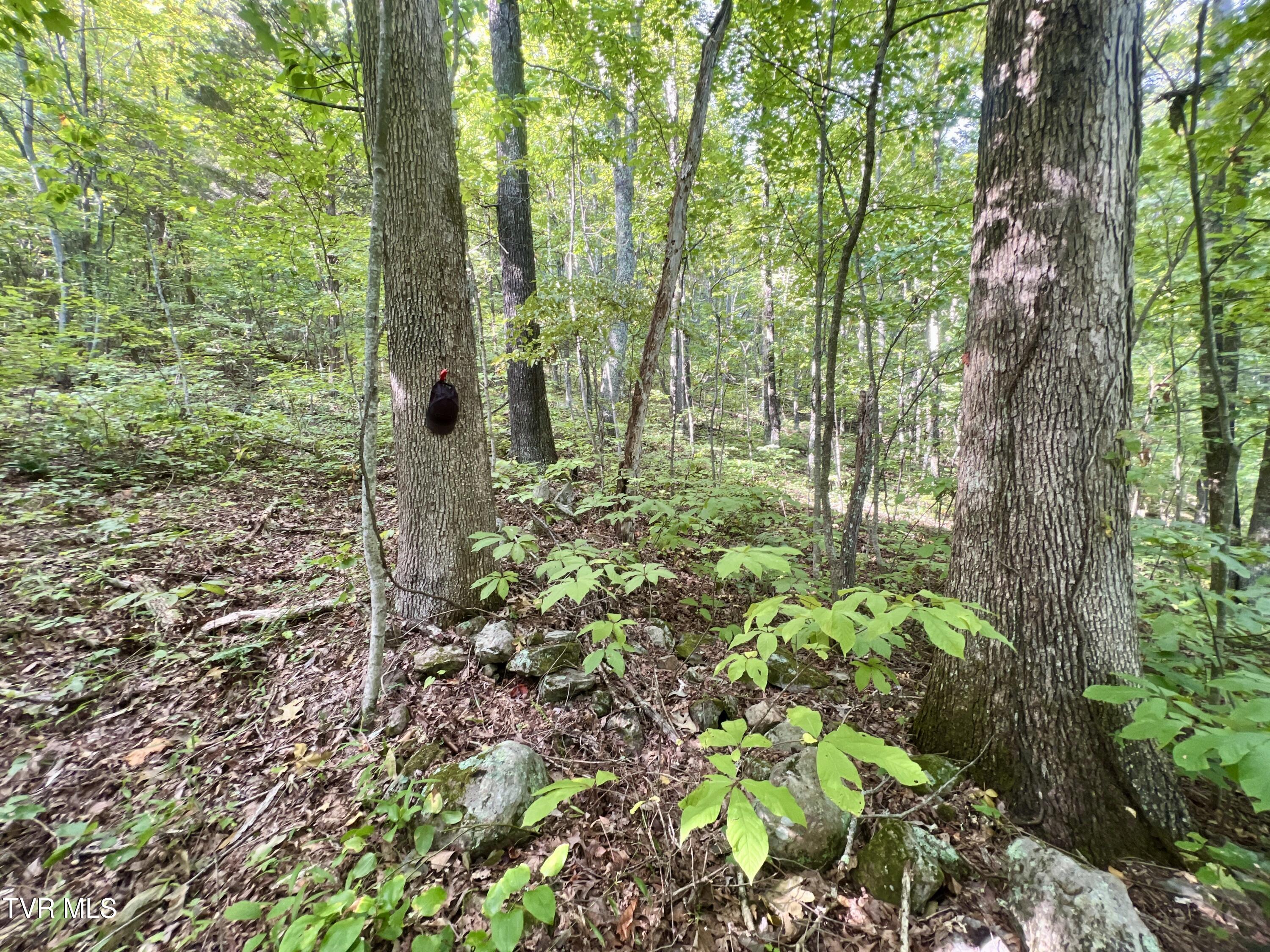 1200 Douglas Drive #1, Sneedville, Tennessee image 42