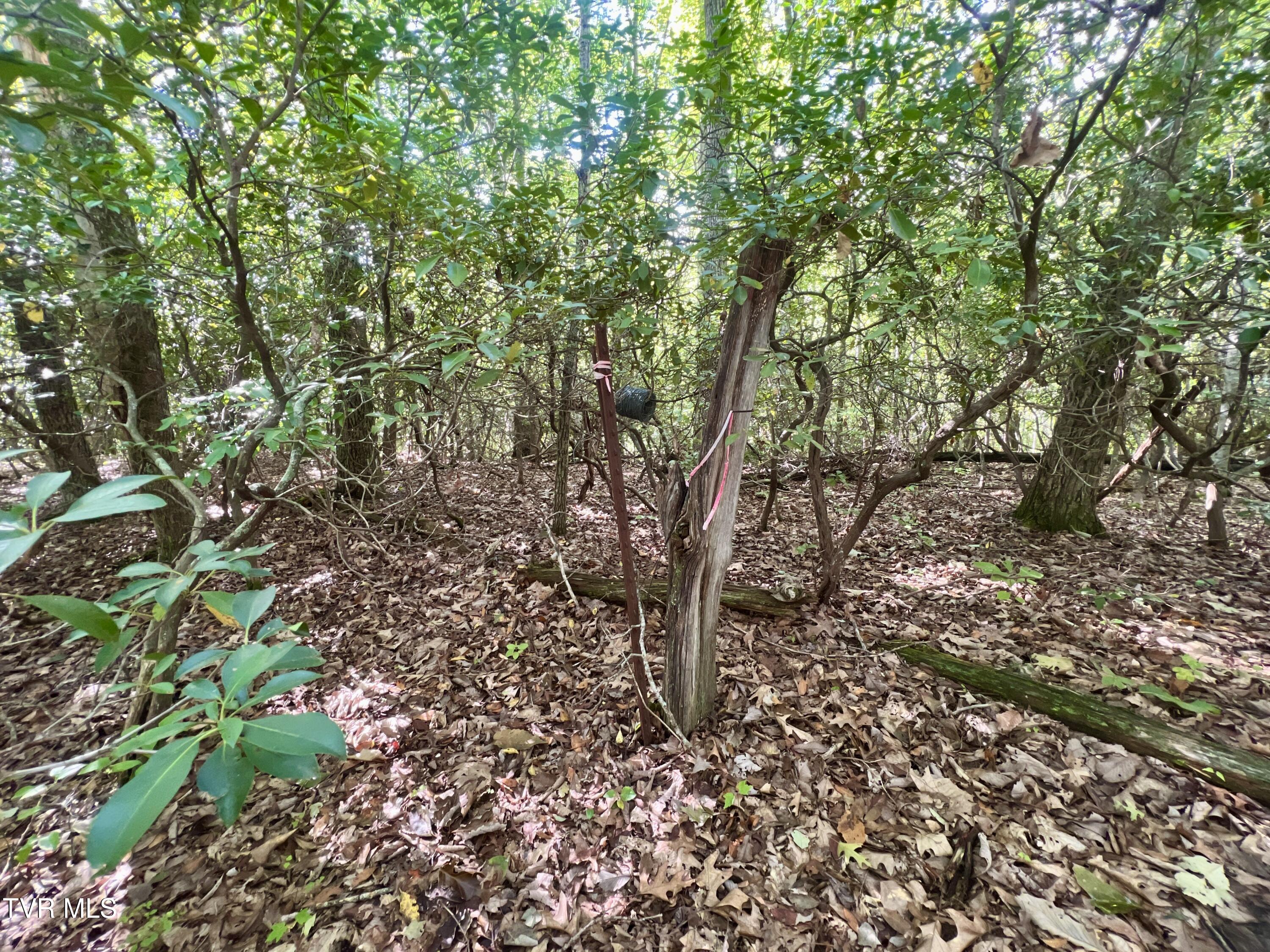 1200 Douglas Drive #1, Sneedville, Tennessee image 41