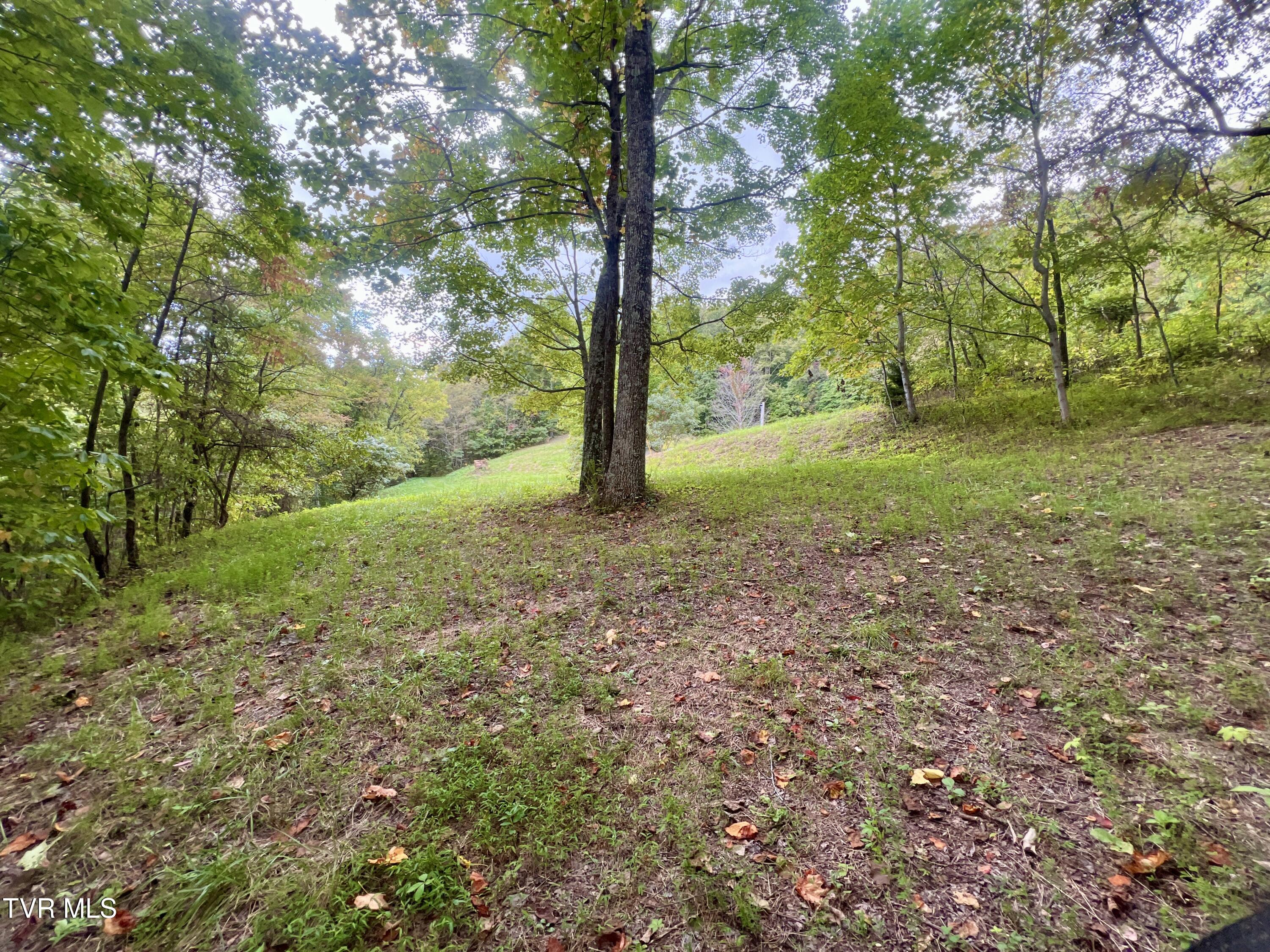 1200 Douglas Drive #1, Sneedville, Tennessee image 26