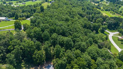 Tiny photo for 1216 Upland Avenue, Greeneville, TN 37743 (MLS # 9984335)