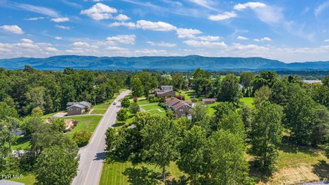 Tiny photo for 1216 Upland Avenue, Greeneville, TN 37743 (MLS # 9984335)