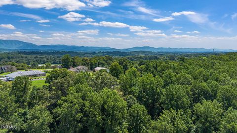 Tiny photo for 1216 Upland Avenue, Greeneville, TN 37743 (MLS # 9984335)