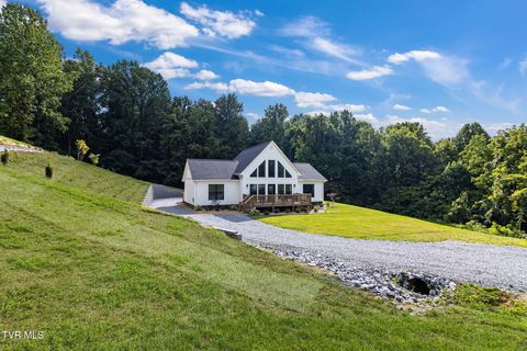 Tiny photo for 1216 Upland Avenue, Greeneville, TN 37743 (MLS # 9984335)