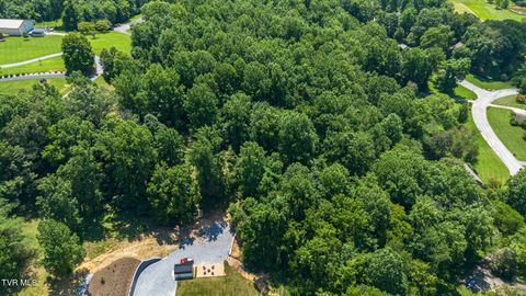 Tiny photo for 1216 Upland Avenue, Greeneville, TN 37743 (MLS # 9984335)