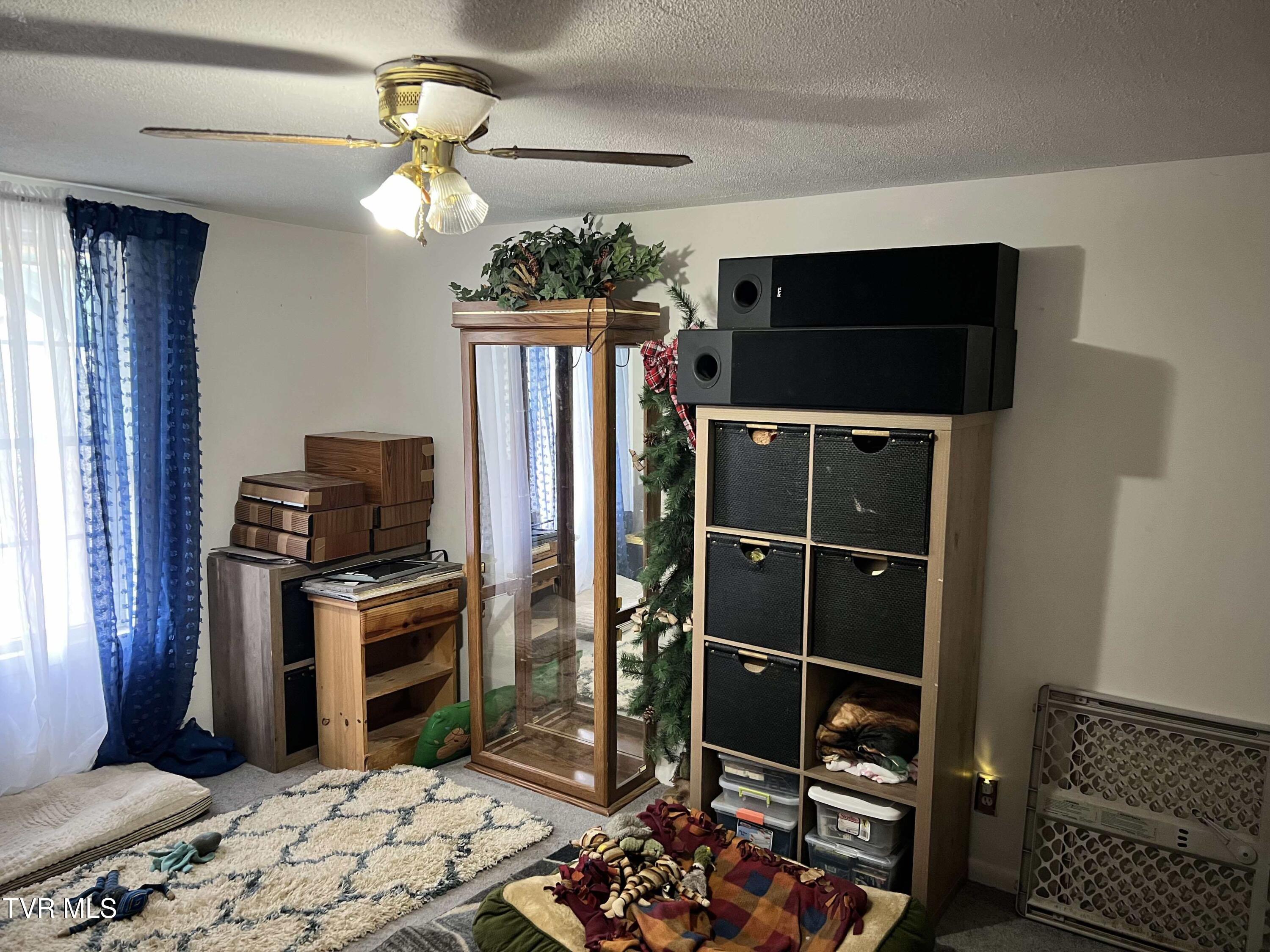 208 Observation Drive, Duffield, Virginia image 26