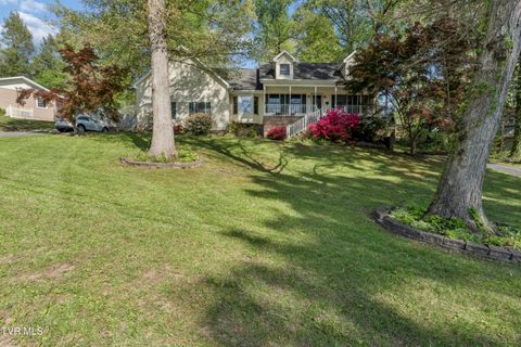 Photo of 802 Chestnut Avenue, Erwin, TN 37650 (MLS # 9994624)