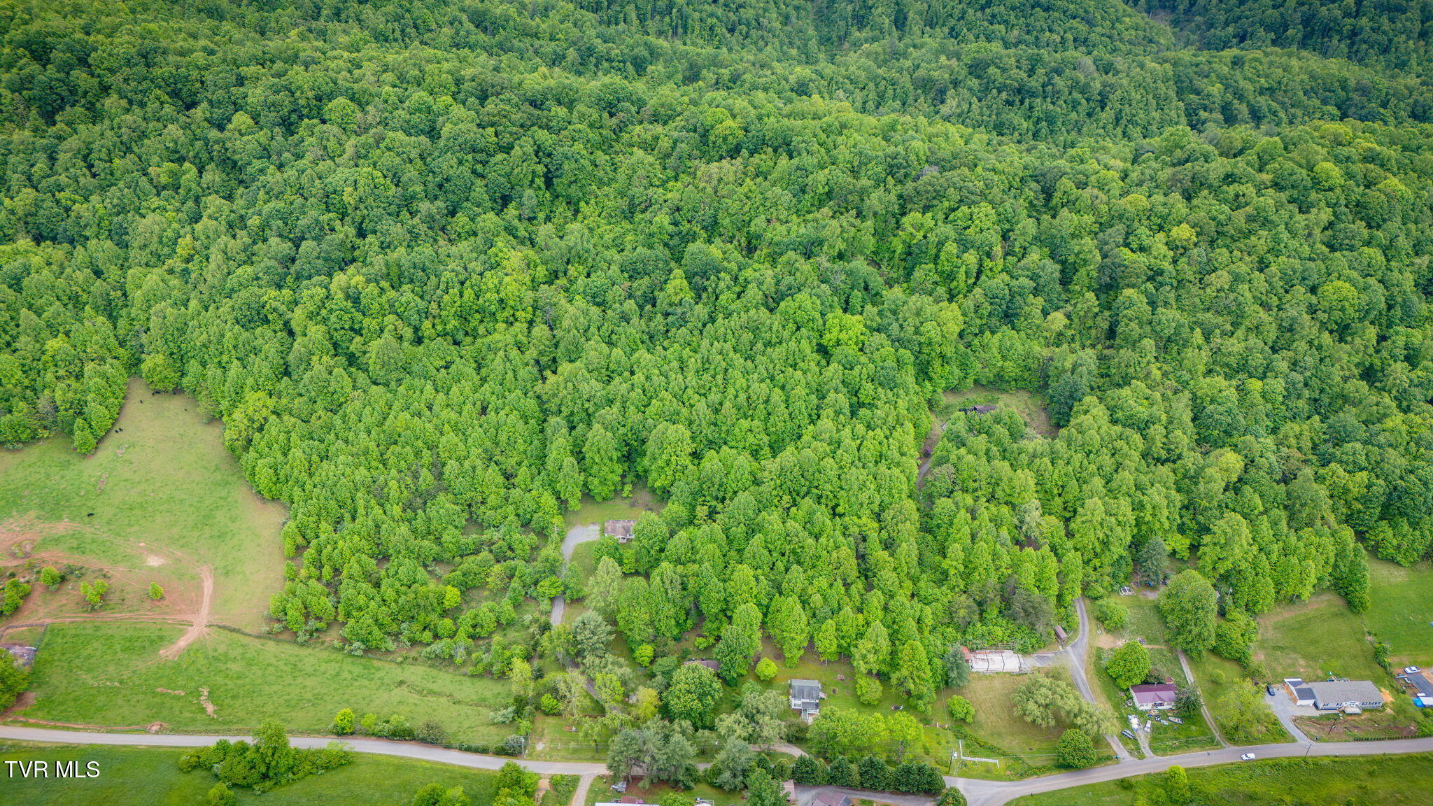 118 Berry Hill Road, Elizabethton, Tennessee image 27