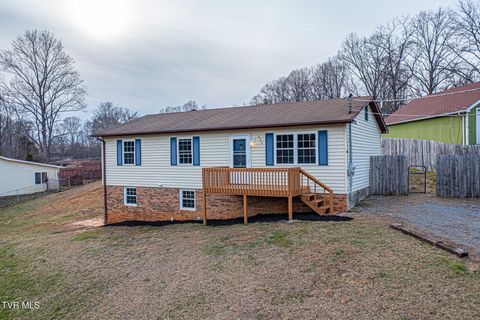 Photo of 235 Chestnut Street, Church Hill, TN 37642 (MLS # 9991740)
