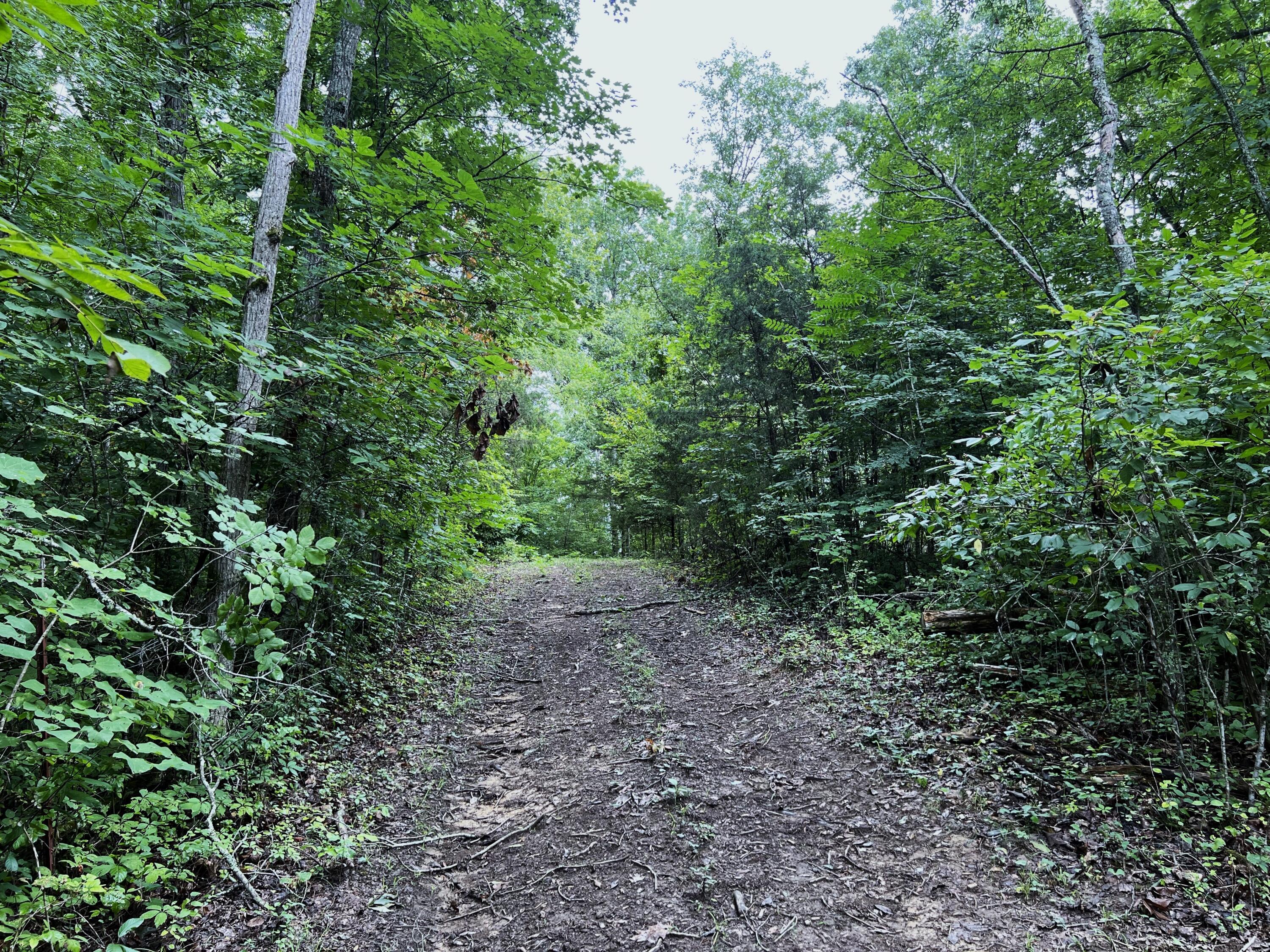 790 Lonesome Pine Road, Bybee, Tennessee image 15