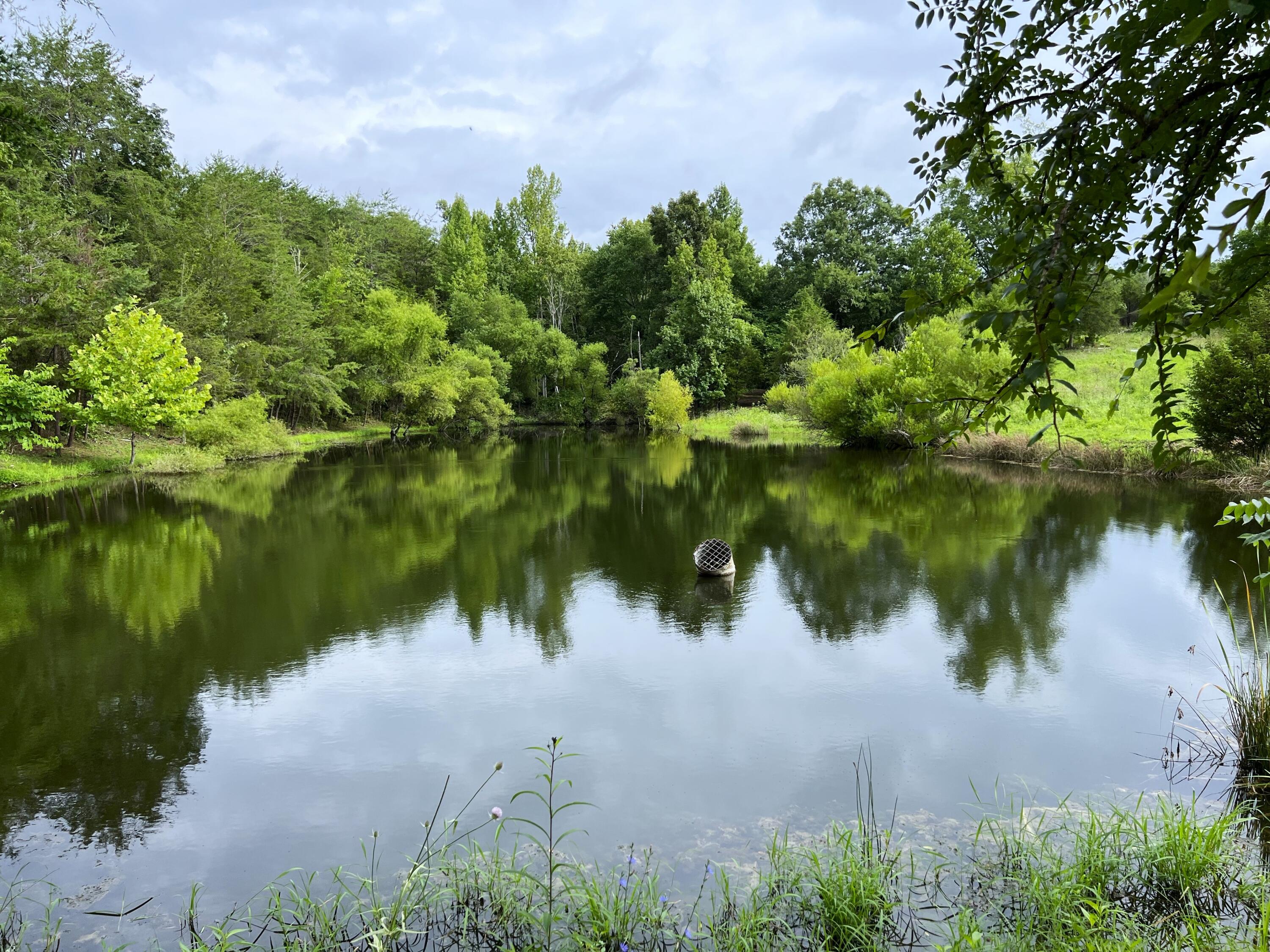790 Lonesome Pine Road, Bybee, Tennessee image 1
