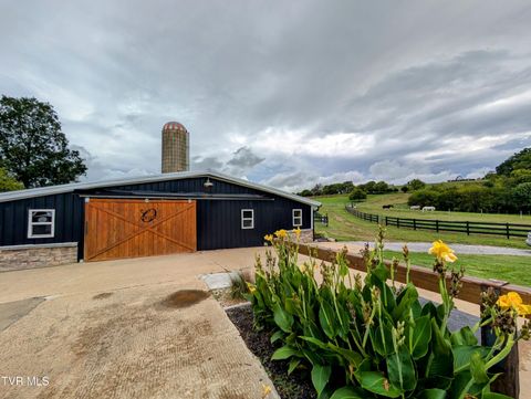 Tiny photo for 780 Bright Hope Road, Greeneville, TN 37743 (MLS # 9986500)
