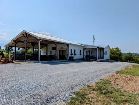 Photo of 780 Bright Hope Road, Greeneville, TN 37743 (MLS # 9986500)