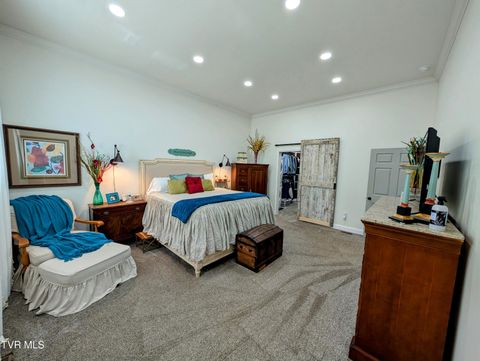 Tiny photo for 780 Bright Hope Road, Greeneville, TN 37743 (MLS # 9986500)