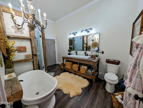 Tiny photo for 780 Bright Hope Road, Greeneville, TN 37743 (MLS # 9986500)