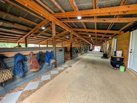 Tiny photo for 780 Bright Hope Road, Greeneville, TN 37743 (MLS # 9986500)