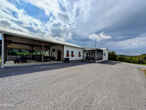 Tiny photo for 780 Bright Hope Road, Greeneville, TN 37743 (MLS # 9986500)