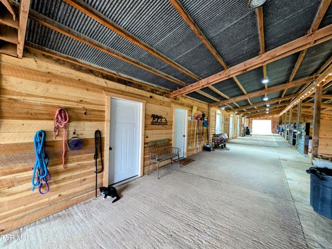 Tiny photo for 780 Bright Hope Road, Greeneville, TN 37743 (MLS # 9986500)