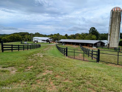Tiny photo for 780 Bright Hope Road, Greeneville, TN 37743 (MLS # 9986500)