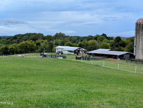 Tiny photo for 780 Bright Hope Road, Greeneville, TN 37743 (MLS # 9986500)