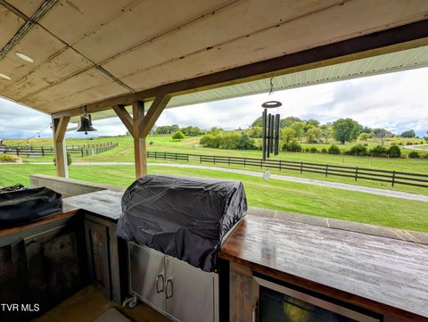 Tiny photo for 780 Bright Hope Road, Greeneville, TN 37743 (MLS # 9986500)