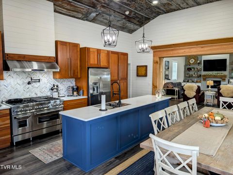 Tiny photo for 780 Bright Hope Road, Greeneville, TN 37743 (MLS # 9986500)
