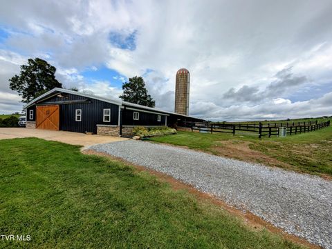 Tiny photo for 780 Bright Hope Road, Greeneville, TN 37743 (MLS # 9986500)