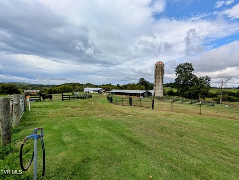 Tiny photo for 780 Bright Hope Road, Greeneville, TN 37743 (MLS # 9986500)