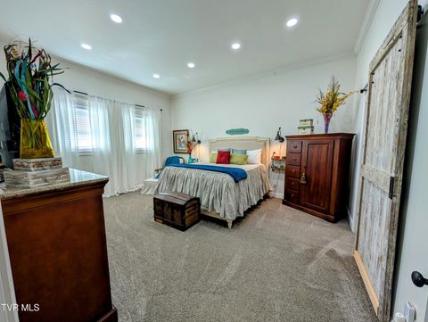 Tiny photo for 780 Bright Hope Road, Greeneville, TN 37743 (MLS # 9986500)