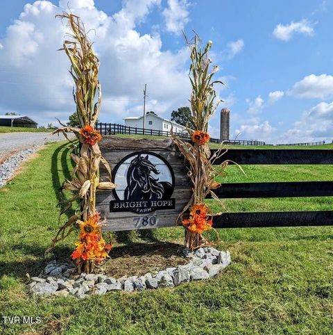 Tiny photo for 780 Bright Hope Road, Greeneville, TN 37743 (MLS # 9986500)