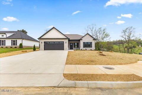 Homes For Sale - 785 Twilight Falls<br/> Jonesborough, TN 37659