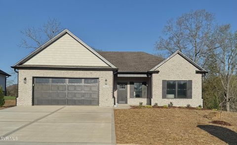 Photo of 785 Twilight Falls, Jonesborough, TN 37659 (MLS # 9993254)