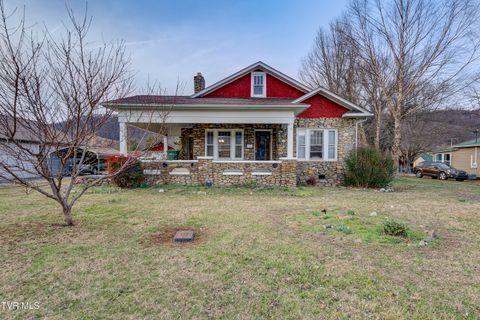 Homes For Sale - 1027 Elm Avenue<br/> Unicoi County, Erwin, TN 37650