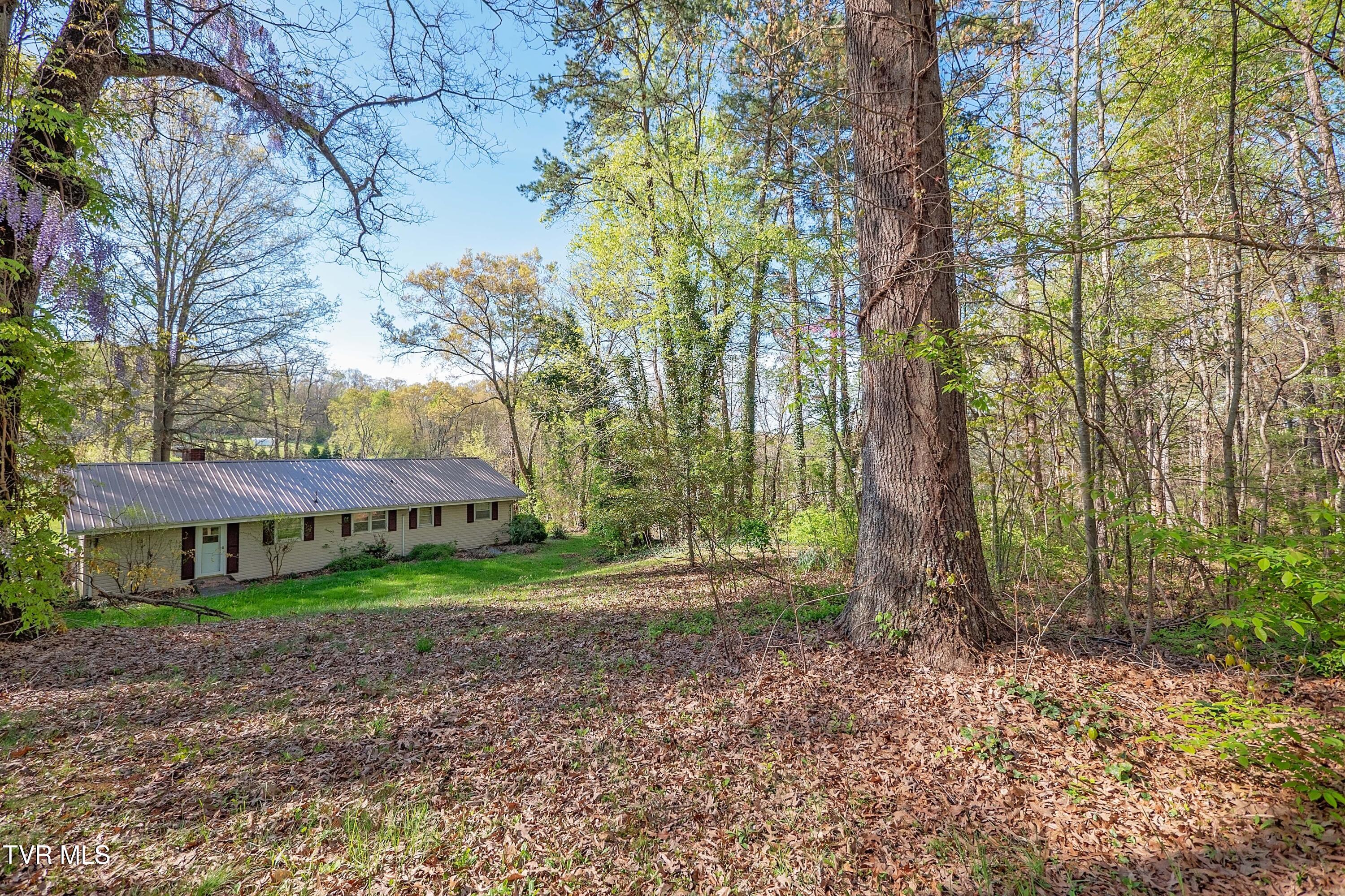 17455 Kingsport Highway, Fall Branch, Tennessee image 16