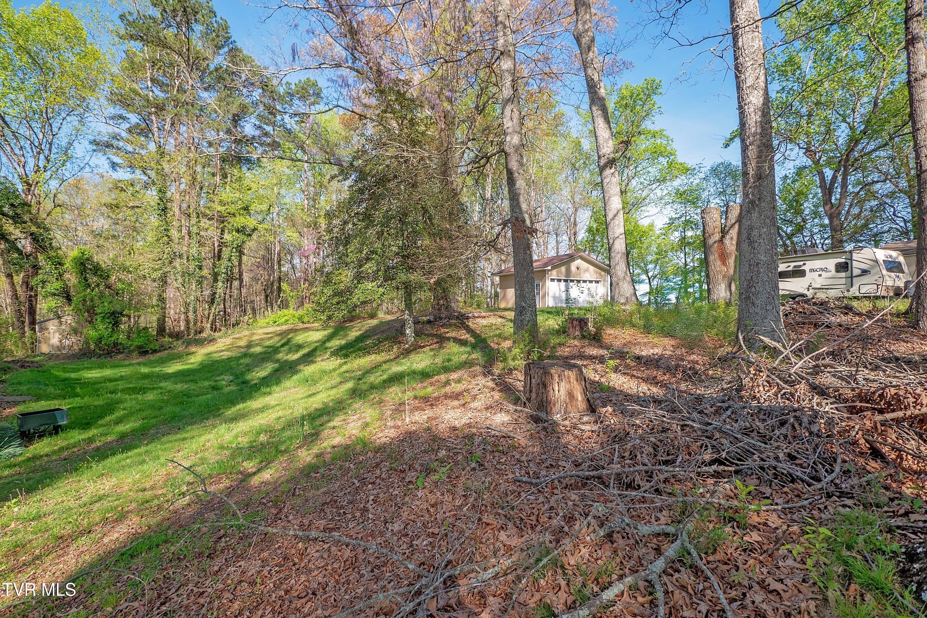17455 Kingsport Highway, Fall Branch, Tennessee image 11