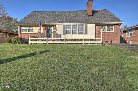 Photo of 2133 Swannanoa Avenue, Kingsport, TN 37664 (MLS # 9993711)