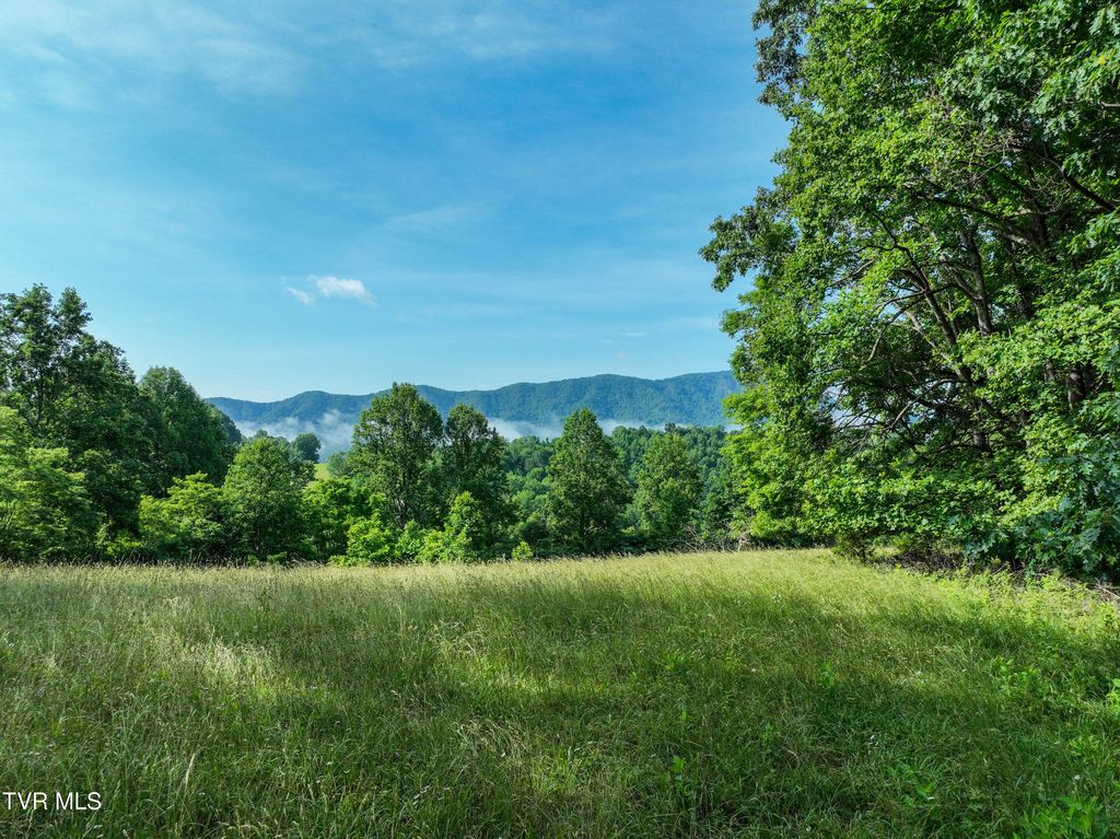 Photo of Tbd Snowflake Road, Gate City, VA 24251 (MLS # 9981285)