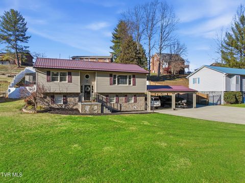 Photo of 326 Big Springs Road, Elizabethton, TN 37643 (MLS # 9990302)