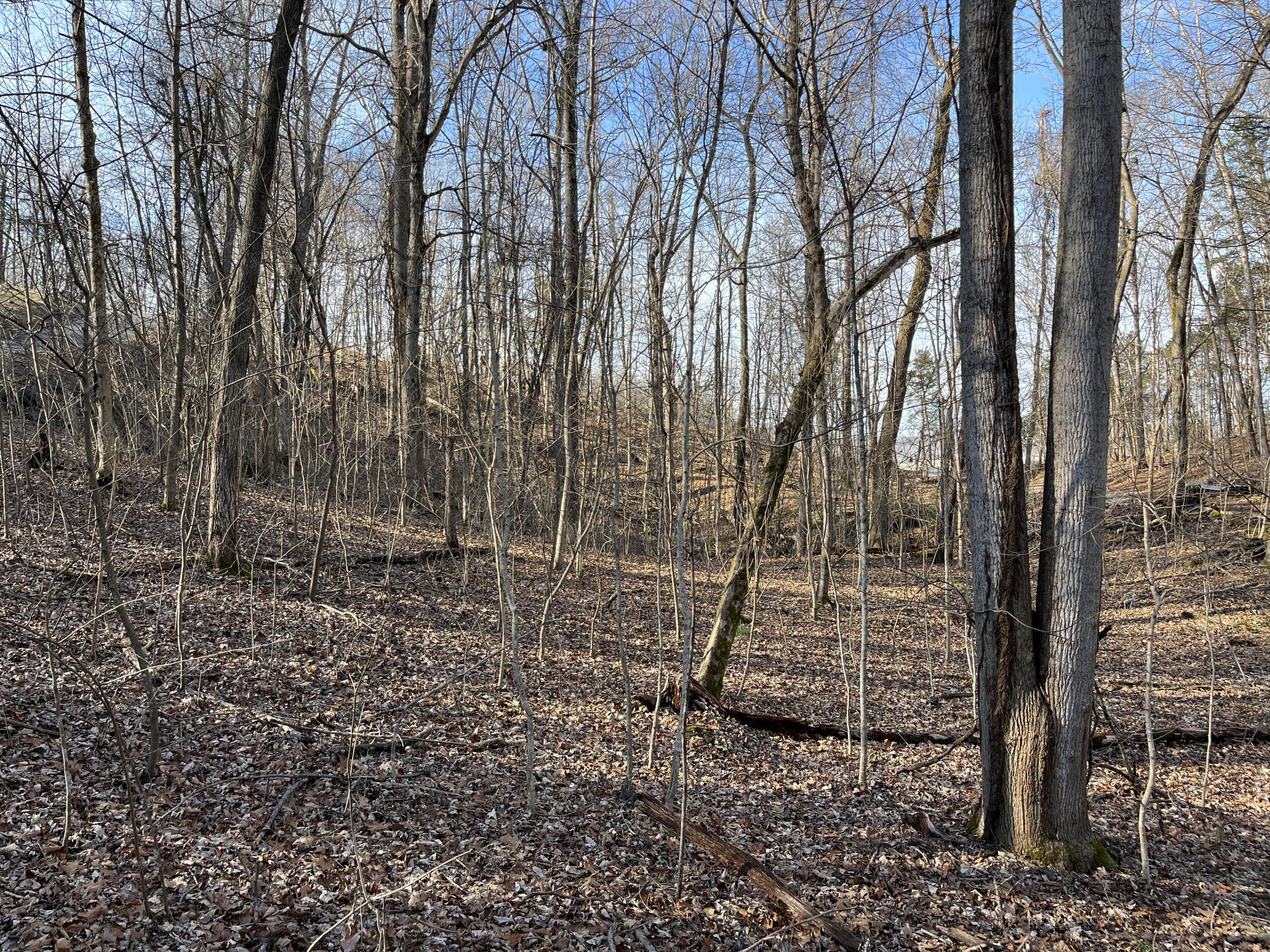 Tbd Lakeside Drive, Johnson City, Tennessee image 3