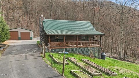 417 Charlie Hicks Road Jonesborough TN 37659