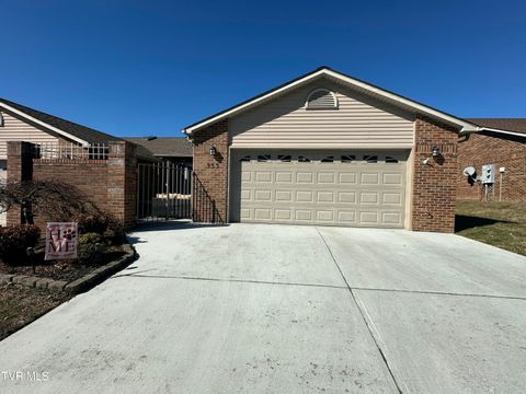 Homes For Sale - 333 Viking Place #1<br/> Greeneville, TN 37745