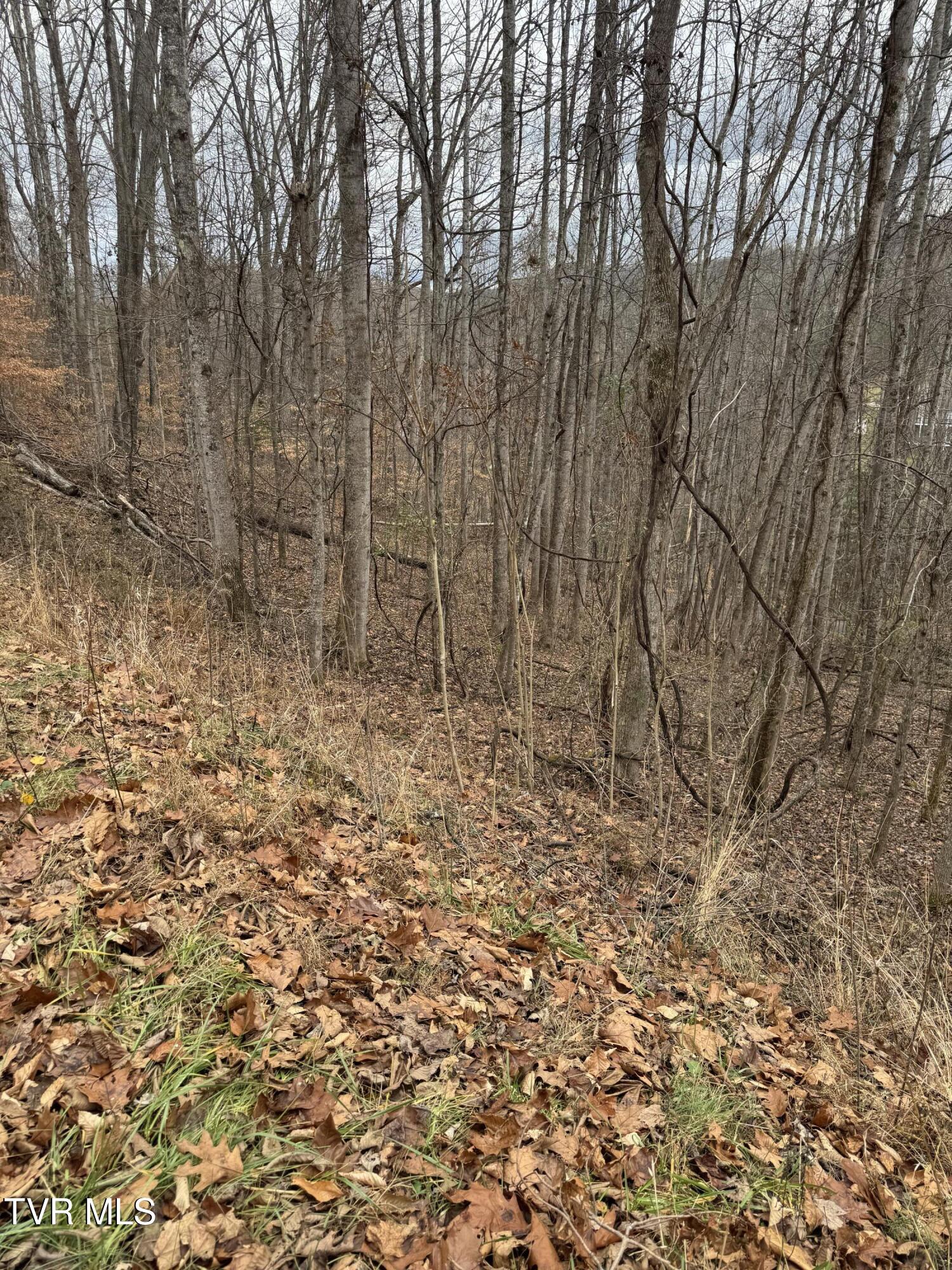 Golf Course Road, Unicoi, Tennessee image 2