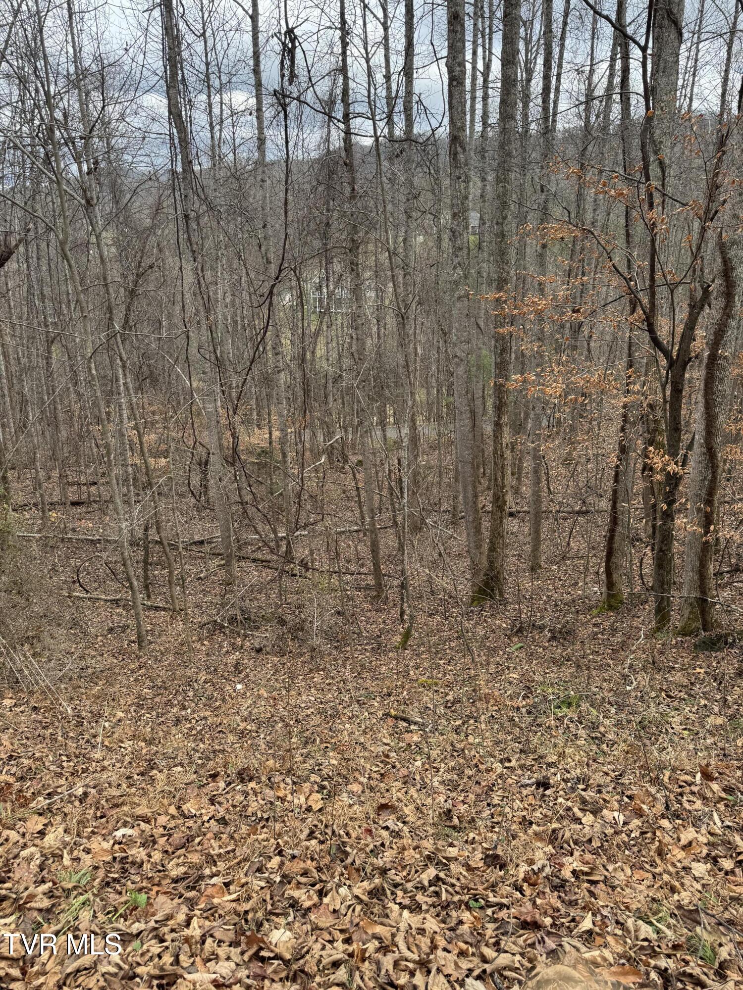 Golf Course Road, Unicoi, Tennessee image 3