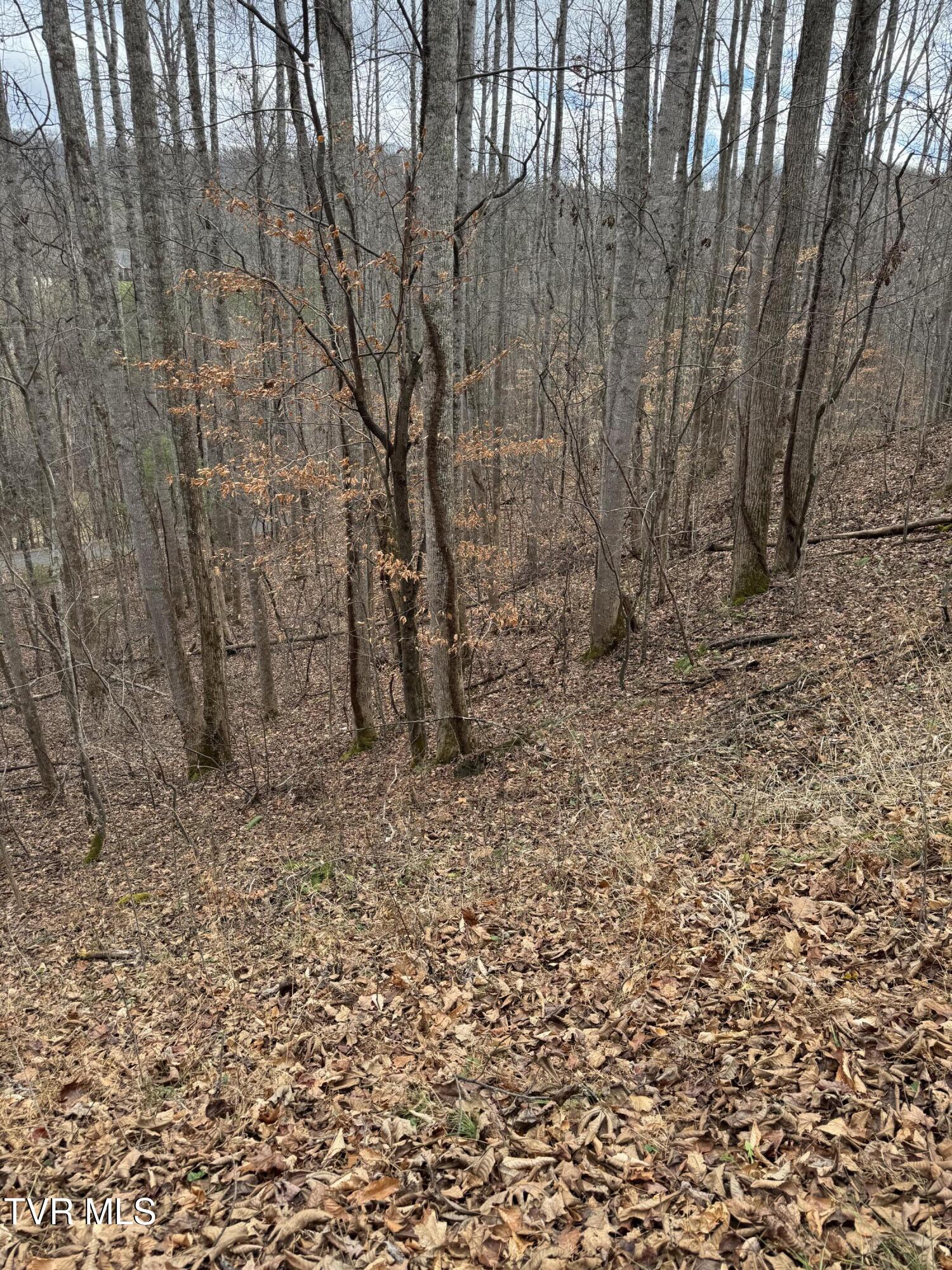 Golf Course Road, Unicoi, Tennessee image 1