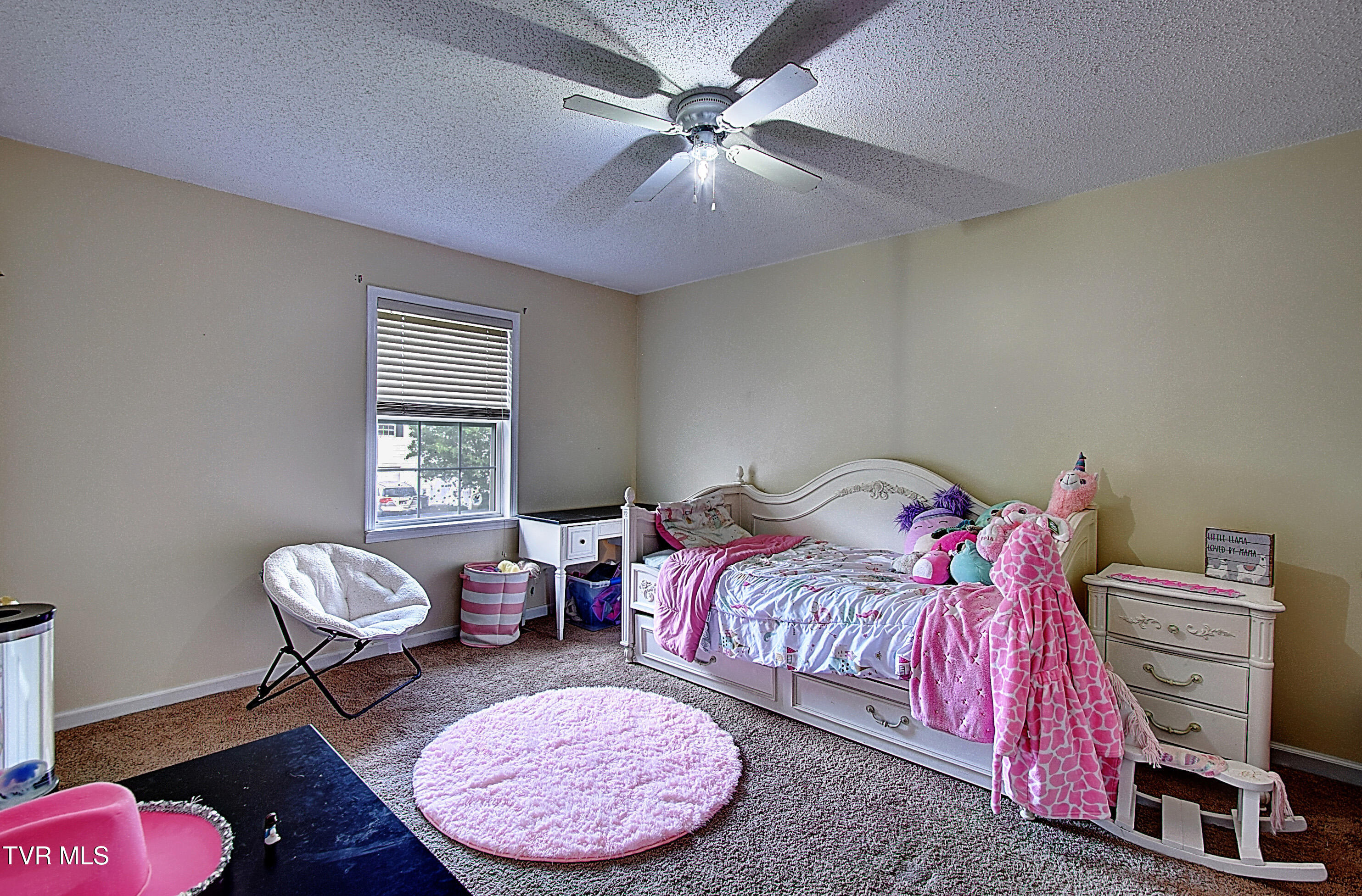 24 Lexington Court #6, Johnson City, Tennessee image 18