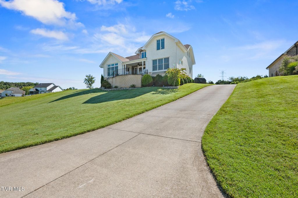 Photo of 225 Forest Lane, Blountville, TN 37617 (MLS # 9991750)